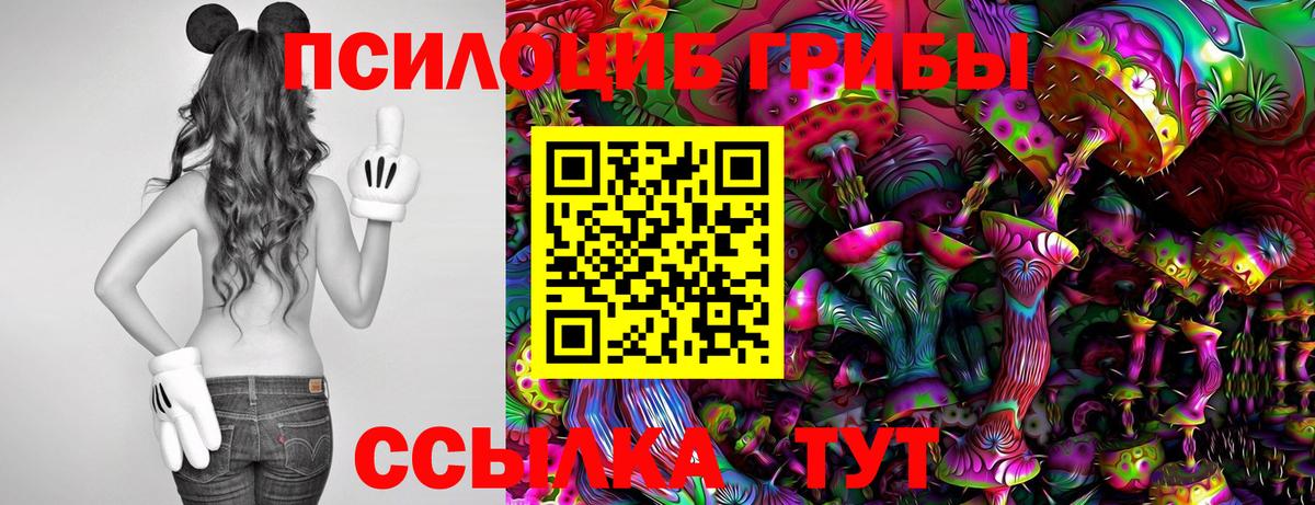 Самара  Галлюциногенные грибы Cubensis  Вход с VPN 